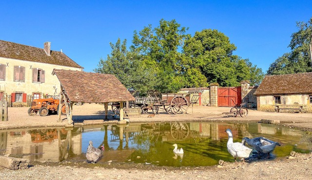 Gîte à la Ferme . À 9km de Guédelon, à 800m du Château de Saint-fargeau