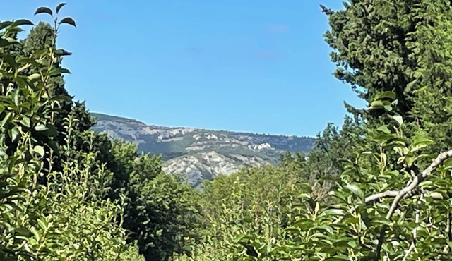 Gîte 1&2 adjoining Mas Simone & Dédé between Alpilles and Lubéron