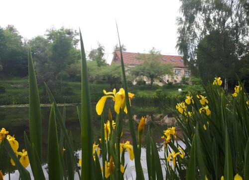 Gîte 18 Personnes Avec Étang