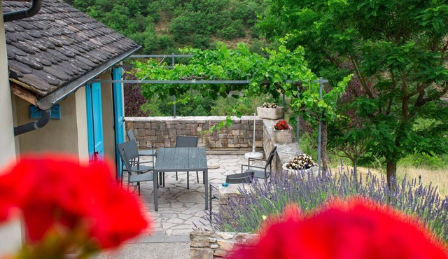 Gîte 2-4 pers. aux Vignes