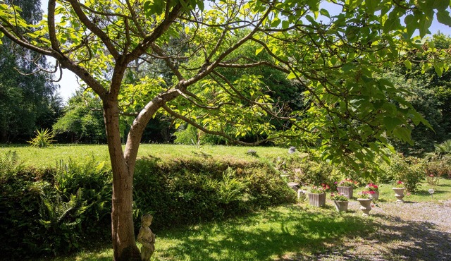 Gîte 3* bocage, beaches, Mt-St-Michel, Bayeux, D-Day, Granville, Villedieu