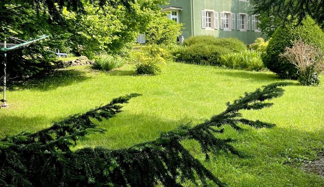 Gîte A l'Ombre des tilleuls