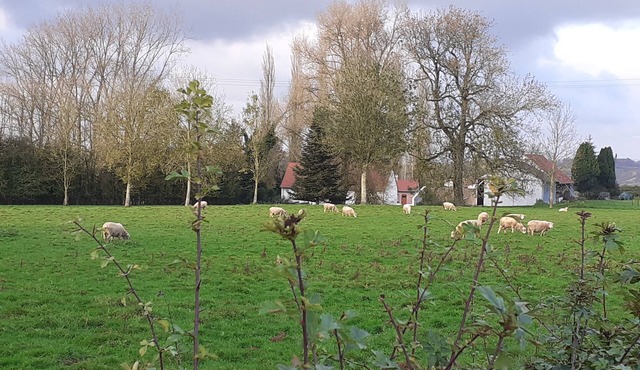 Gîte au Bonh'Air Independent