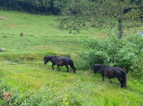 Gîte Au bout des Mynes avec vue panoramique