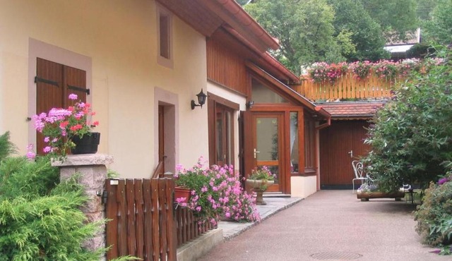 Gîte au calme avec 2 chambres, terrasse, jardin, BBQ et parking inclus à Breitenbach-Haut-Rhin - FR-1-744-42