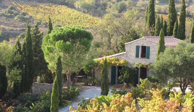 Gîte au Milieu des Vignes