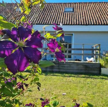 Gîte Côte et Terre