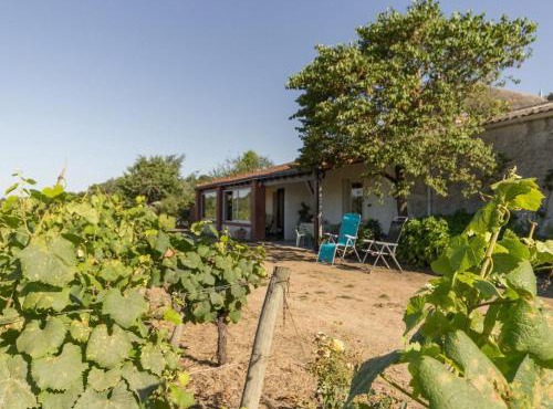 Gîte calme sur domaine viticole, cheminée, wifi, équipements bébé, proche Nantes - FR-1-306-794