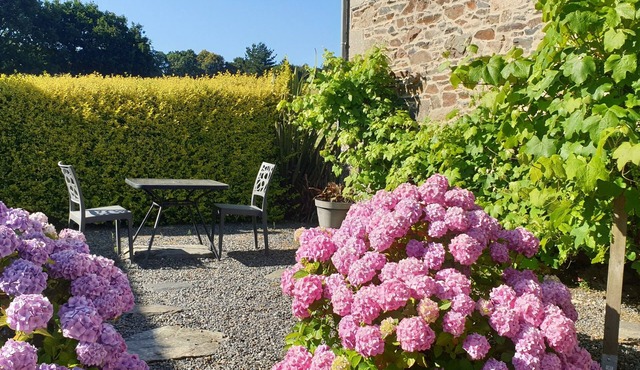 Gîte Chèvrefeuille - Pen Ar Voas: private terrace, shared garden, and Wi-Fi