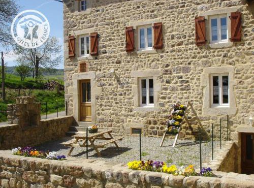 Gîte chaleureux dans parc naturel avec animaux admis et confort moderne - FR-1-496-28