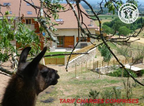 Gîte chaleureux avec spa et sauna, animaux admis - FR-1-496-23