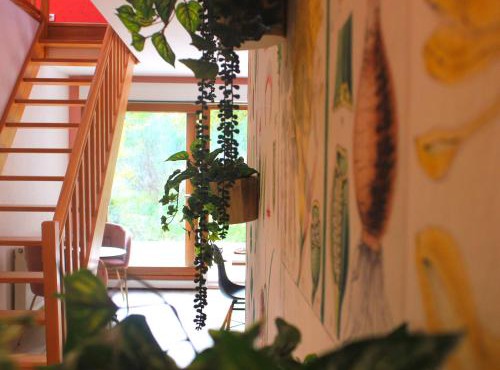 Gîte charmant à Remiremont : nature, randonnées et confort pour 6 personnes et animaux bienvenus - FR-1-589-411