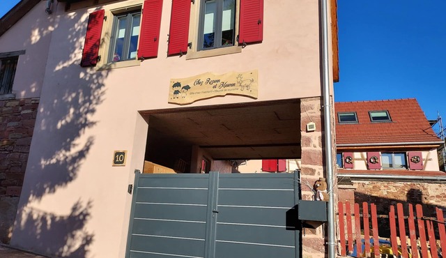 Gîte "Chez Rozenn & Mewen" in renovated farmhouse