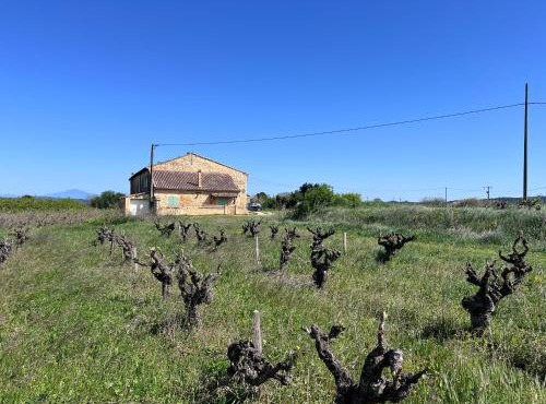 Gîte d'ysée au milieu des vignes