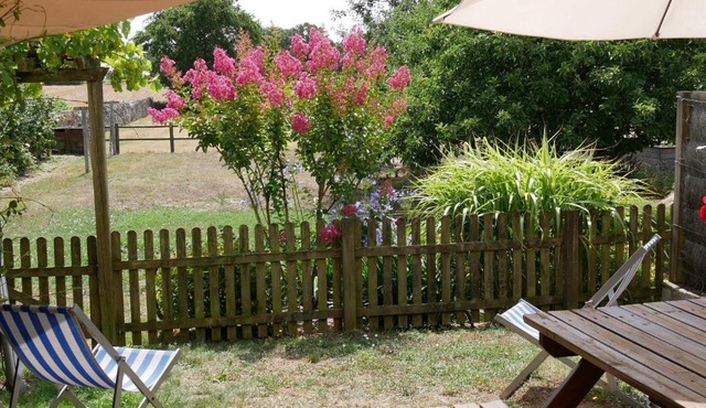 Gîte de caractère au cœur des vignes avec jardin, vélos et équipements bébé - FR-1-306-796