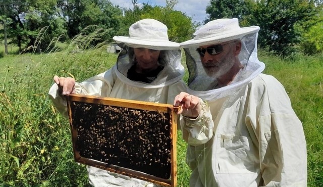 Gîte de Ferme Vigneronne Avec Ateliers Découvertes Apiculture