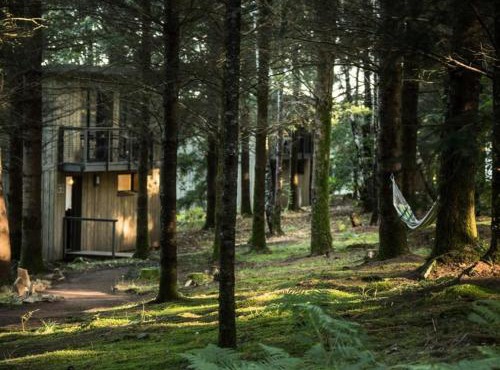 Gîte de France Henry 4 épis - Gîte de France 4 personnes MAE-1481