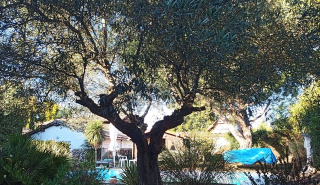 Gîte de Grande Capacité Avec Piscine et Parking