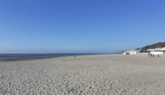 Gîte de L'écureuil 62