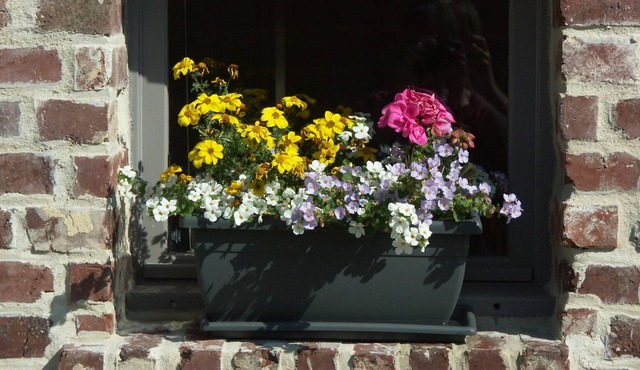 Gîte de l'Antre'pot near Dieppe for 2 to 3 people