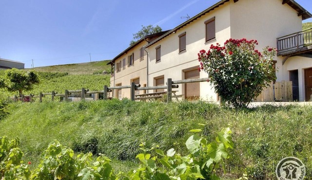 Gîte de l'Artisan-Vigneron