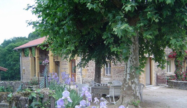 Gîte de la Turdine - Saint-romain-de-popey
