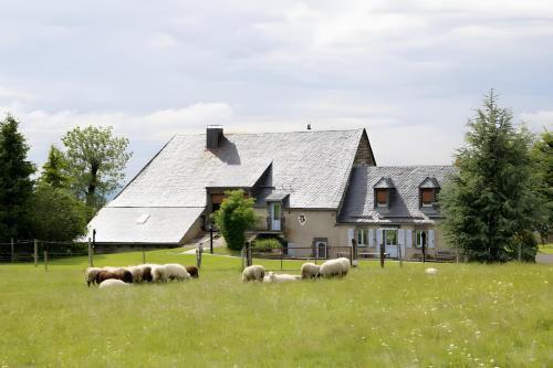Gîte De La Poucinière