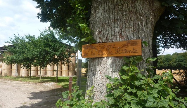 Gîte de la belle attente