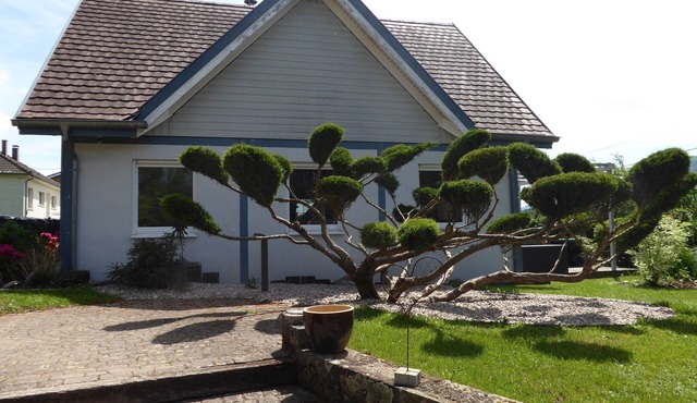 Gîte de la cigogne en voyage 3 * en center Alsace