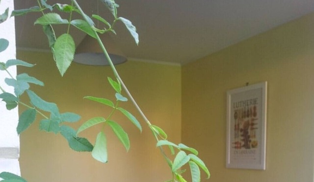 Gîte de la Leurande, Gîte 'La Leurande'