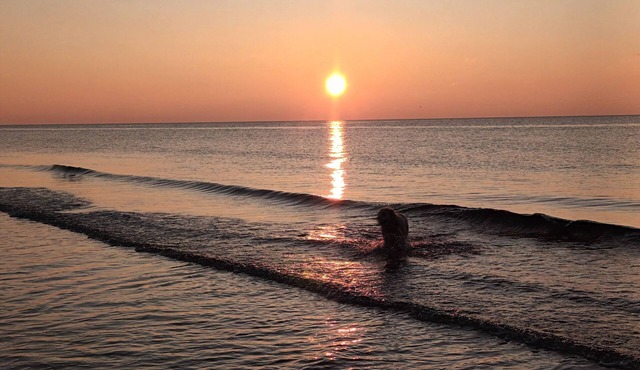 Gîte de Lafoucardière 8 Personnes