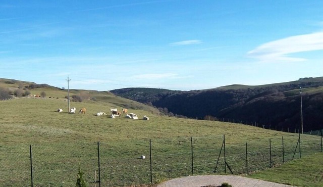 Gîte de Vins Haut - Anzat-le-luguet