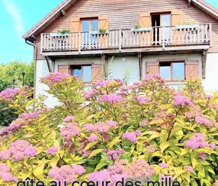 gîte des 1000 étangs