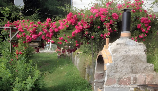 Gîte "Des 3 Ânes": Mountain View, Private Terrace & Wi-Fi