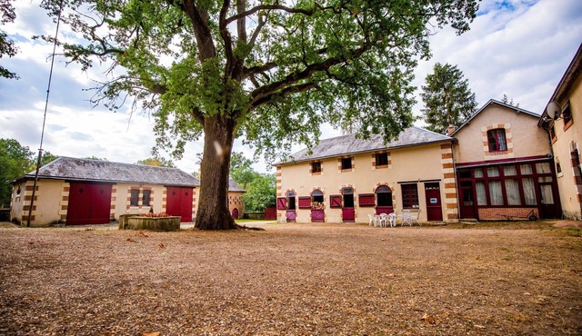 Gîte des Châteaux de la Loire, near Lamotte-Beuvron. Horses welcome!