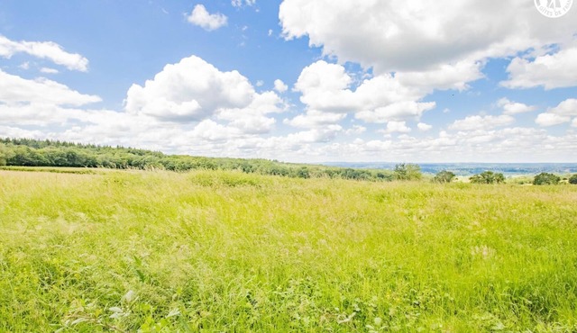 Gîte des Charmays - SARRY