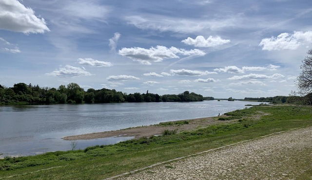 Gîte des Bords de Loire - 50m de la Loire à Vélo - Meuble de Tourisme 4 Étoiles