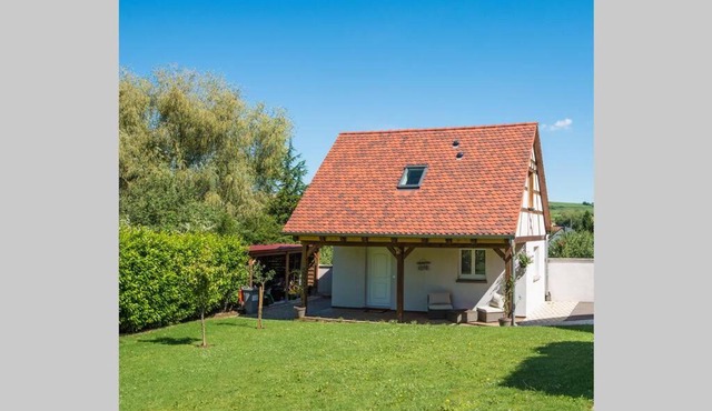 Gîte des Grenouilles - Route des vins