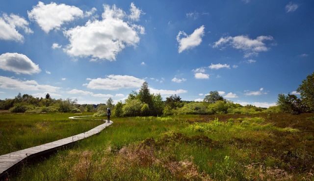 Gîte des hortensiasnnGîte à la ferme 5 chambres, 10 lits, 12 personnes