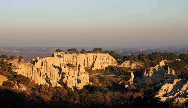 Gîte des Orgues d'Ille Eucalyptus