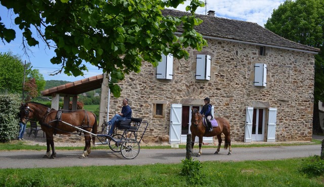 Gîte du Brésil, detached family home for nature lovers!