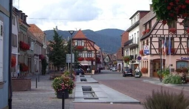 Gîte du Frankenbourg apartment in detached house. In Chatenois