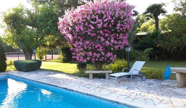 Gîte du Gecko