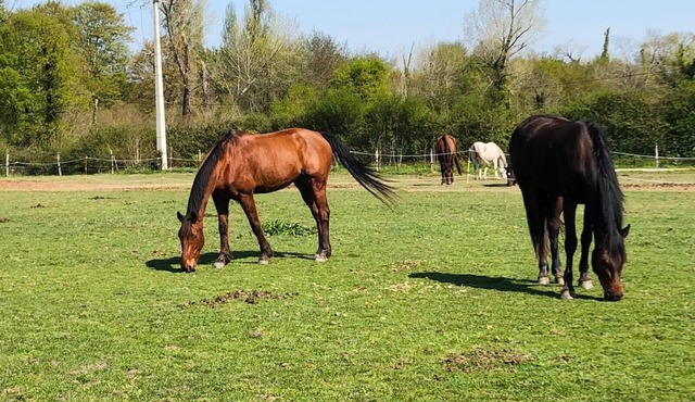 Gîte du Haras de Lolivier