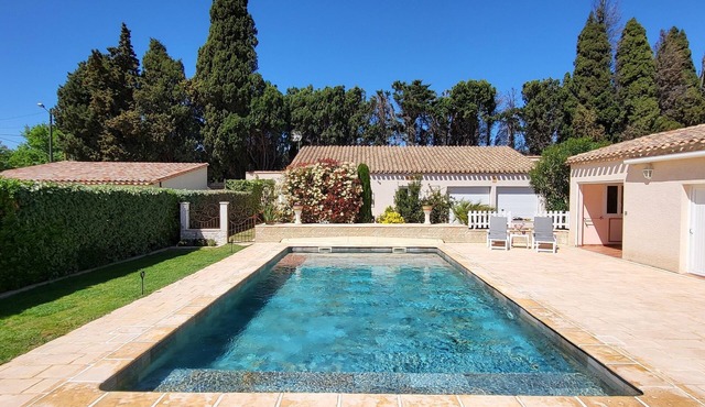 Gîte du Lézard Pâle