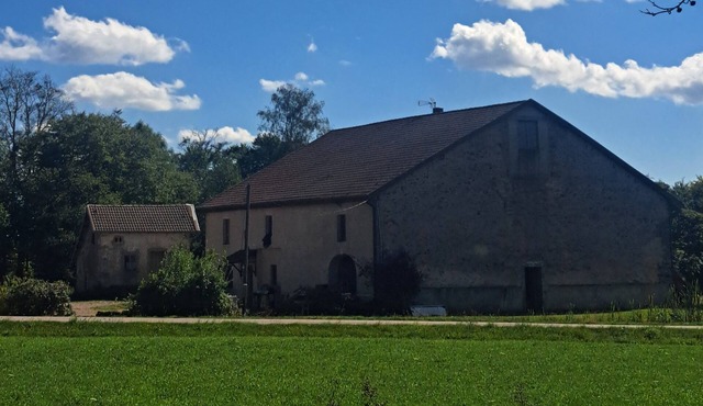 🌲 Gîte du Lutin Boname : Calme, Jardin & Randonnées aux Portes des Vosges