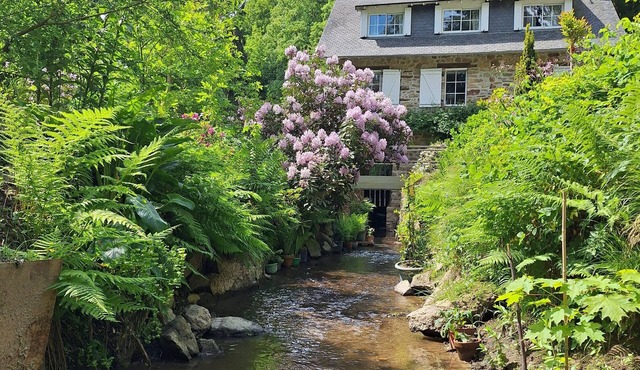 Gîte du Moulin de Tanis, Up to 6 Guests