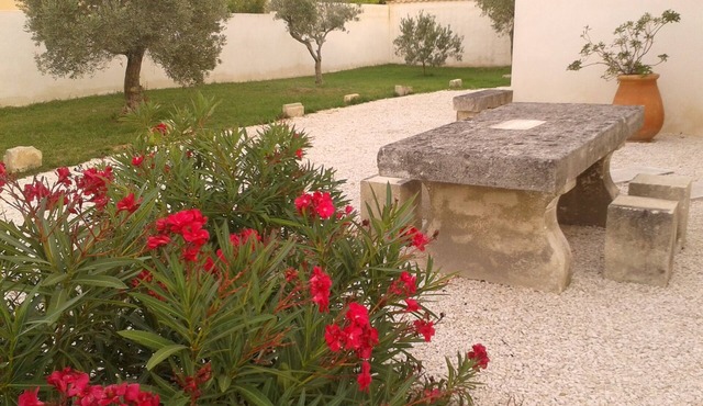 Gîte du Petit Mandon-Arles-Crau-Camargue: a house for 2/3 people