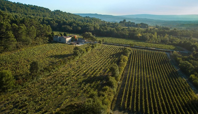Gîte du Vignoble Château Saint Pons in the Luberon Natural Park