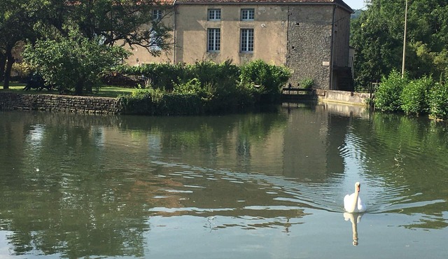 Gîte en Bourgogne,. Dans Ancien Moulin , Jardin Privatif et vue sur le Bief
